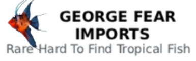 George Fear Imports